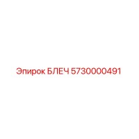 5730000491 БЛЕЧ (Epiroc)