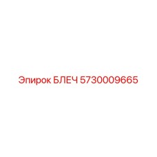 5730009665 БЛЕЧ Эпирок