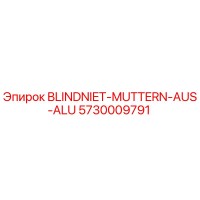 5730009791 BLINDNIET-MUTTERN-AUS-ALU Epiroc