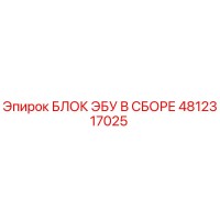 4812317025 БЛОК ЭБУ В СБОРЕ Epiroc