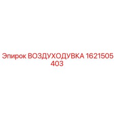 1621505403 ВОЗДУХОДУВКА Epiroc
