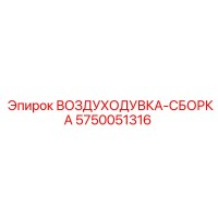 5750051316 ВОЗДУХОДУВКА-СБОРКА Epiroc