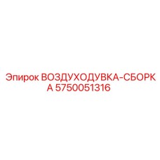 5750051316 ВОЗДУХОДУВКА-СБОРКА Epiroc