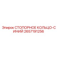 2657191256 СТОПОРНОЕ КОЛЬЦО-СИНИЙ Epiroc