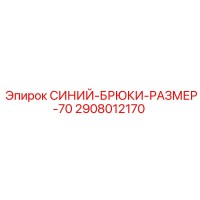 2908012170 СИНИЙ-БРЮКИ-РАЗМЕР-70 Epiroc