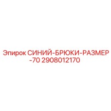 2908012170 СИНИЙ-БРЮКИ-РАЗМЕР-70 Epiroc