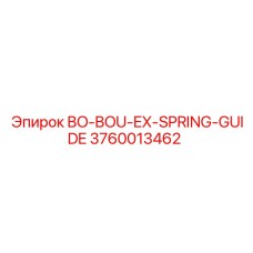 3760013462 BO-BOU-EX-SPRING-GUIDE Epiroc