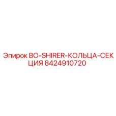 8424910720 BO-Shirer Кольца-Секция Epiroc