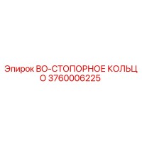 3760006225 BO-СТОПОРНОЕ КОЛЬЦО Epiroc