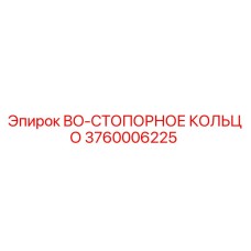 3760006225 BO-СТОПОРНОЕ КОЛЬЦО Epiroc