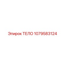1079583124 ТЕЛО Epiroc
