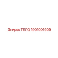 1901001909 ТЕЛО Epiroc
