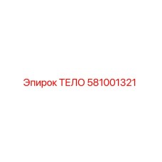 581001321 ТЕЛО Epiroc