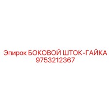 Прецизионный передаточный узел штока-гайки 9753212367