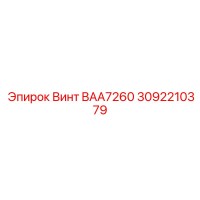 3092210379 Винт BAA7260 Epiroc
