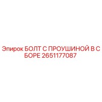2651177087 БОЛТ С ПРОУШИНОЙ В СБОРЕ Epiroc