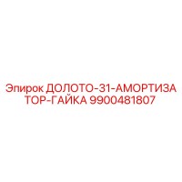 9900481807 ДОЛОТО-31-АМОРТИЗАТОР-ГАЙКА Epiroc