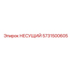 5731500605 НЕСУЩИЙ Epiroc