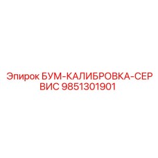 9851301901 БУМ-КАЛИБРОВКА-СЕРВИС Epiroc