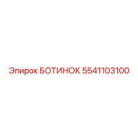 5541103100 БОТИНОК Эпирок