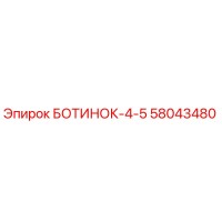 58043480 БОТИНОК-4-5 Epiroc