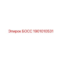 1901010531 БОСС Эпирок