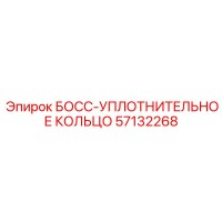 57132268 БОСС-УПЛОТНИТЕЛЬНОЕ КОЛЬЦО Epiroc