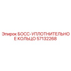 57132268 БОСС-УПЛОТНИТЕЛЬНОЕ КОЛЬЦО Epiroc