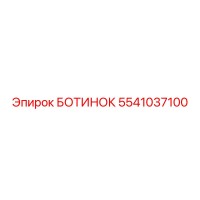 5541037100 БОТИНОК Epiroc