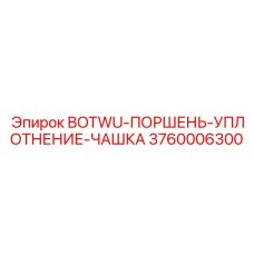 3760006300 BOTWU-ПОРШЕНЬ-УПЛОТНЕНИЕ-ЧАШКА Epiroc