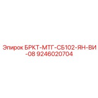 9246020704 БРКТ-МТГ-СБ102-ЯН-ВИ-08 (Epiroc)