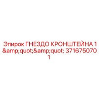 3716750701 ГНЕЗДО КРОНШТЕЙНА 1