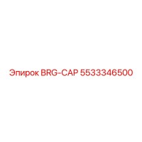 5533346500 BRG-CAP Epiroc