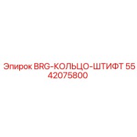 5542075800 BRG-КОЛЬЦО-ШТИФТ Epiroc