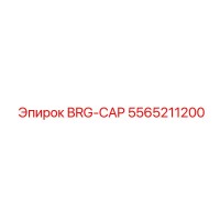 5565211200 BRG-CAP Epiroc