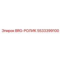5533399100 BRG-РОЛИК Epiroc