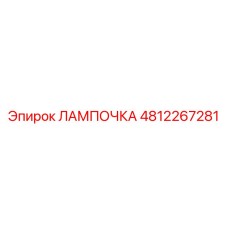 4812267281 ЛАМПОЧКА Epiroc