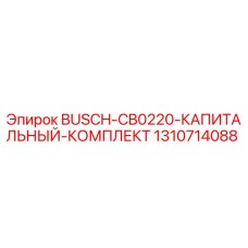1310714088 BUSCH-CB0220 КАПИТАЛЬНЫЙ КОМПЛЕКТ Epiroc
