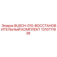 1310711938 BUSCH-010-ВОССТАНОВИТЕЛЬНЫЙ КОМПЛЕКТ Epiroc