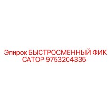 9753204335 БЫСТРОСМЕННЫЙ ФИКСАТОР Epiroc