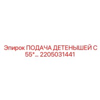 2205031441 ПОДАЧА ДЕТЕНЫШЕЙ C55* Система подачи Epiroc