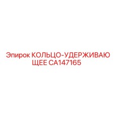 CA147165 КОЛЬЦО-УДЕРЖИВАЮЩЕЕ Epiroc