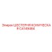 CA149484 Шестерня коническая Epiroc