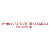 2657752776 CAB-BARE-TIER2-DM30 Epiroc