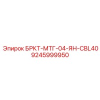9245999950 БРКТ-МТГ-04-ЯН-CBL40 Epiroc