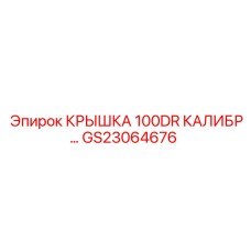 GS23064676 Крышка 100DR калибр Epiroc