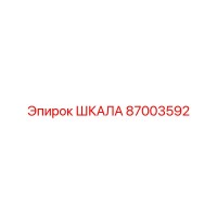 87003592 ШКАЛА Epiroc