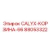 88053322 CALYX-КОРЗИНА-66 Epiroc