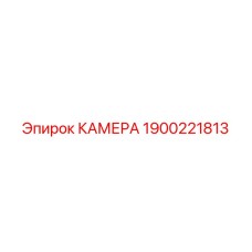 Специализированная камера Epiroc 1900221813