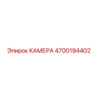 4700194402 КАМЕРА Epiroc